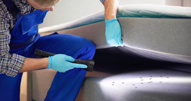 Best Pest Control for Homes  in Roseto, PA