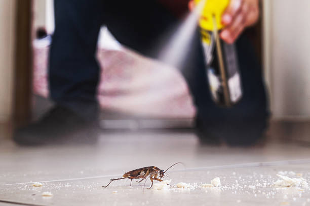 Best Pest Removal Services  in Roseto, PA