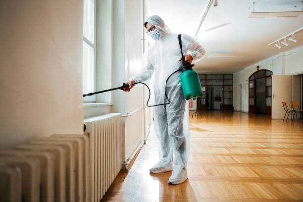 Best Flea Control Services  in Roseto, PA